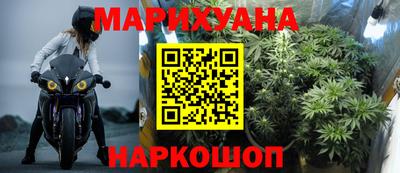 прущие грибы Абакан