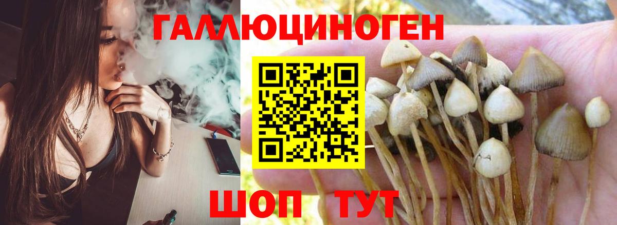 Галлюциногенные грибы ЛСД Амурск